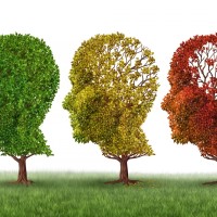 21 septembrie – Ziua mondială pentru combaterea maladiei Alzheimer