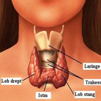 Afecţiunile glandei tiroide