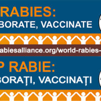 28 septembrie – Ziua Mondială de Luptă Împotriva Rabiei: „Stop Rabia: Colaborați, Vaccinați“