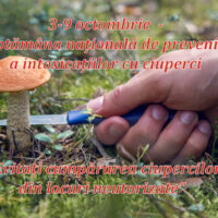3-9 октября — Национальная неделя предотвращения отравлений грибами: «Избегайте покупки грибов в неразрешенных местах»