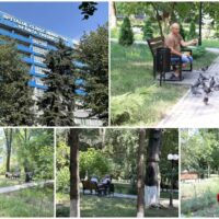 Парк МКБ «Sfânta Treime»- зеленый оазис
