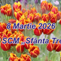 Посвящение женщинам! 600 тюльпанов для улыбки!